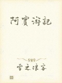 阿宾游记