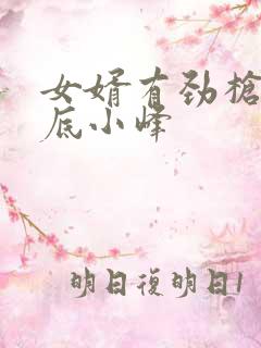 女婿有劲枪枪到底小峰