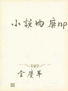 小说肉糜np