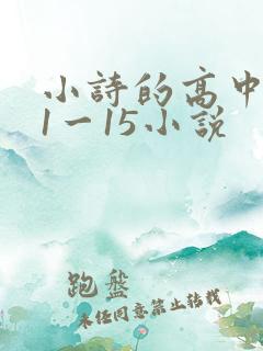 小诗的高中日记1一15小说