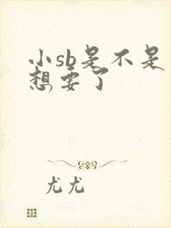 小sb是不是又想要了