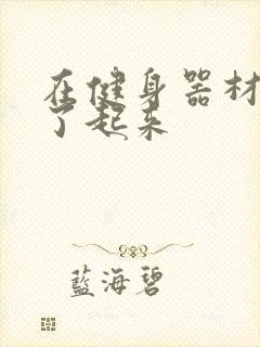 在健身器材上做了起来