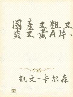 国产又粗又猛又爽又黄A片小说