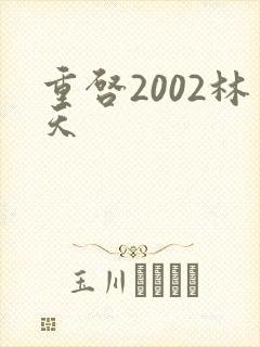 重启2002林天