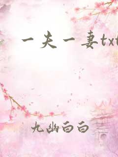 一夫一妻txt