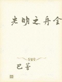 光明之舟金手指