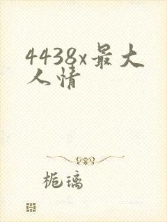 4438x最大人情