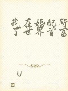 我在婚配所摇到了世界首富小说