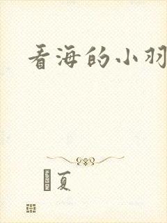 看海的小羽