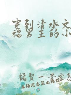 穿到清水文里造福男主的小说