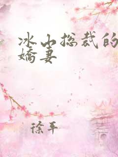 冰山总裁的掠爱娇妻