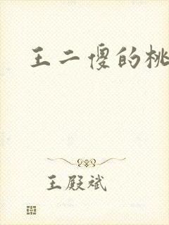 王二傻的桃花运