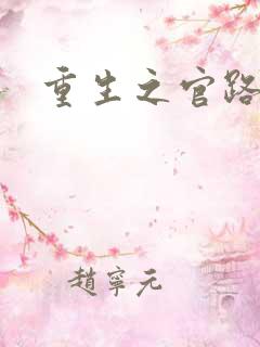 重生之官路风流