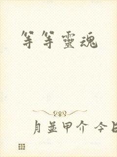 等等灵魂
