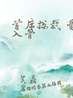 首席总裁 爱你入骨