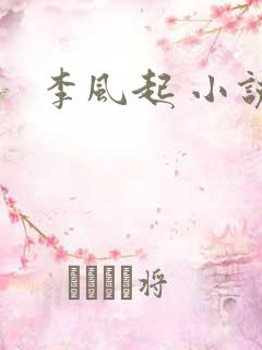 李风起 小说