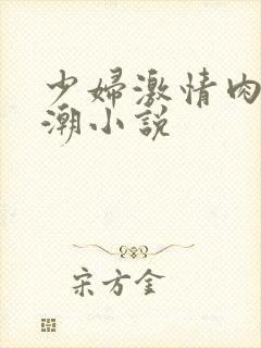 少妇激情肉欲高潮小说