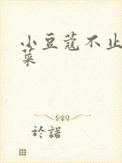 小豆蔻不止是颗菜