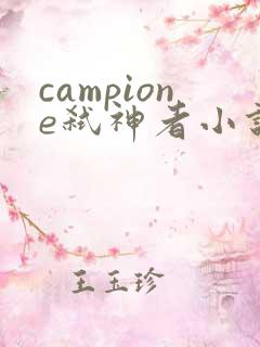 campione弑神者小说