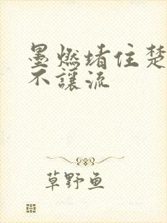 墨燃堵住楚晚宁不让流