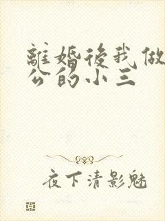 离婚后我做了老公的小三