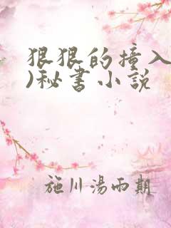 狠狠的撞入(h)秘书小说