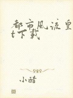 都市风流皇txt下载