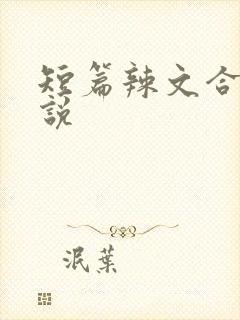 短篇辣文合集小说