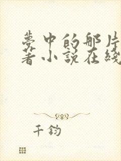 梦中的那片海原著小说在线阅读