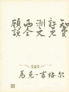 顾西洲许知意小说全文免费阅读