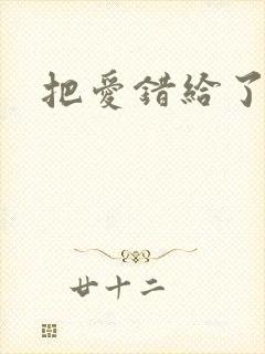 把爱错给了你