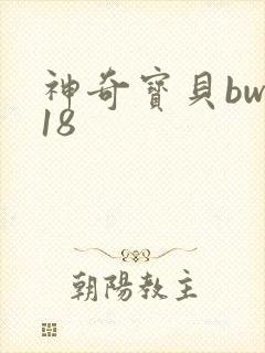 神奇宝贝bw118