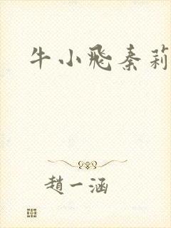 牛小飞秦莉莉