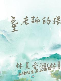 色老师的猥琐人生