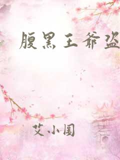 腹黑王爷盗墓妃