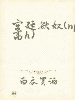 宫廷欲奴(np高h)