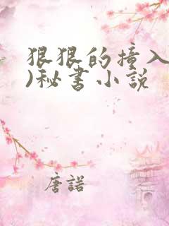 狠狠的撞入(h)秘书小说