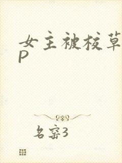 女主被校草们NP