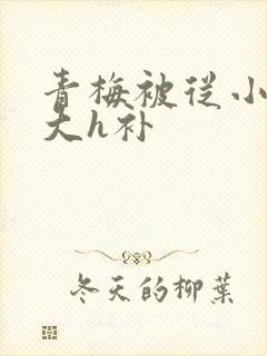 青梅被从小摸到大h补