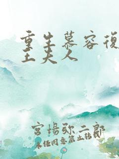 重生慕容复之弄王夫人