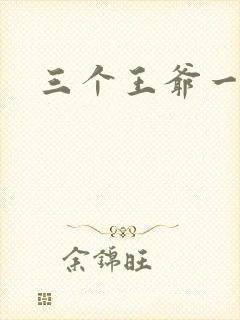 三个王爷一个妃