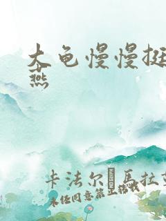 大龟慢慢挺进张燕