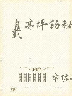 月亮坪的秘密下载