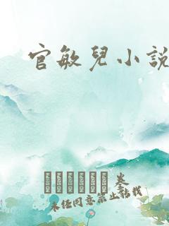 官敏儿小说集