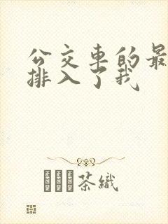 公交车的最后一排入了我