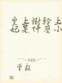 皇上树干上太子妃是什么小说