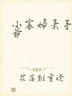 小寡妇素手擒四爷