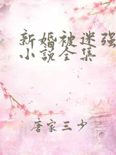 新婚被迷强系列小说全集