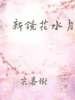 新镜花水月