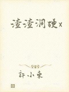 渣渣洞硬x